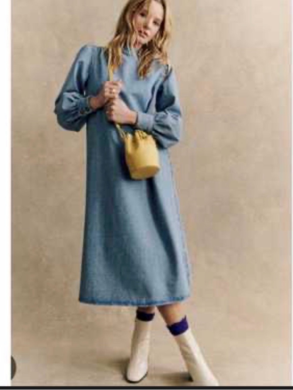 Sezane denim dress
